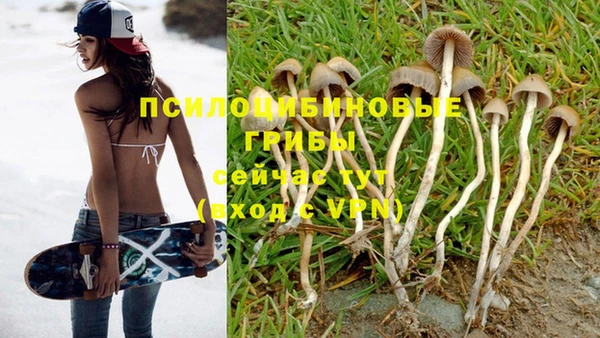 кристаллы Алексин