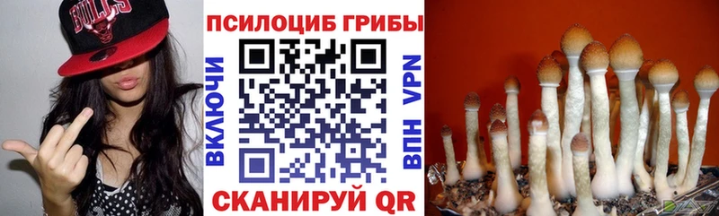 MEGA tor  даркнет формула  Галлюциногенные грибы GOLDEN TEACHER  Асино 