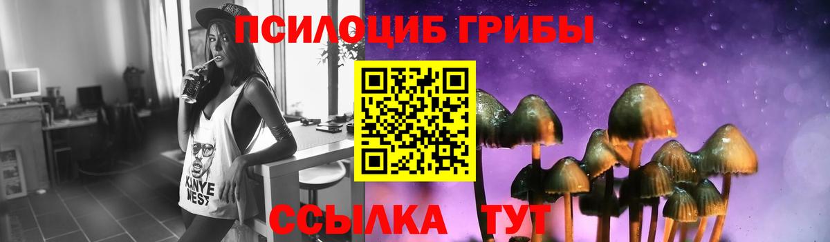 где купить наркотик  Галлюциногенные грибы MAGIC MUSHROOMS  Вход с VPN  Асино  Галлюциногенные грибы GOLDEN TEACHER 